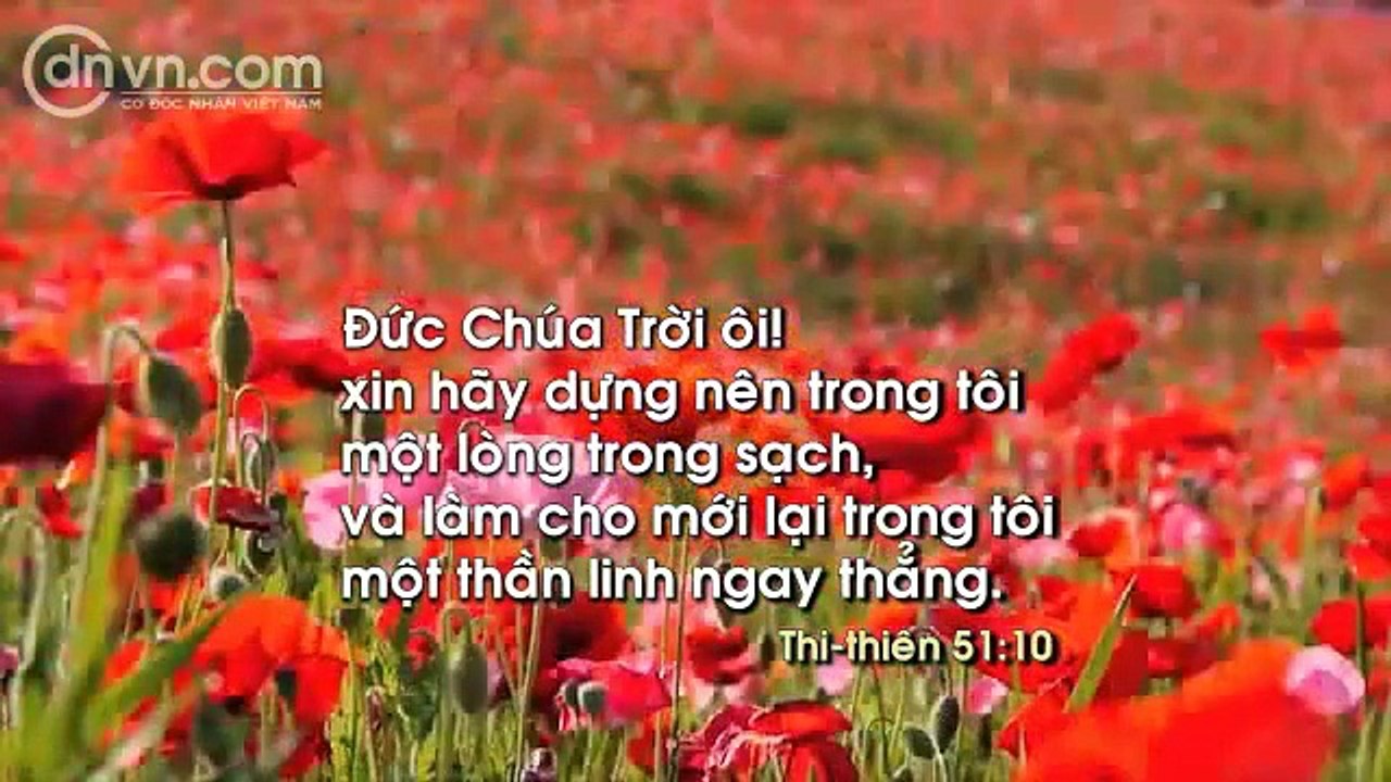 MỘT ĐỜI NGƯỜI