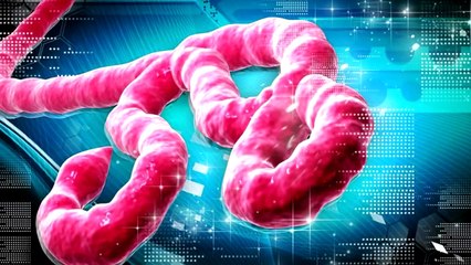 Jeff Rense & Dr. Henry L. Niman - Ebola…Ready To Roll Over US