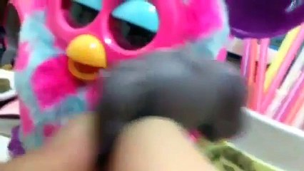 Lps Bridie cats fails