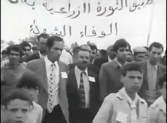 Popular History of Algeria & Algeria videos