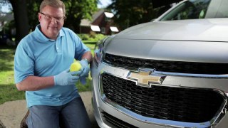 Car Cleaning Tips from a Pro: Bugs