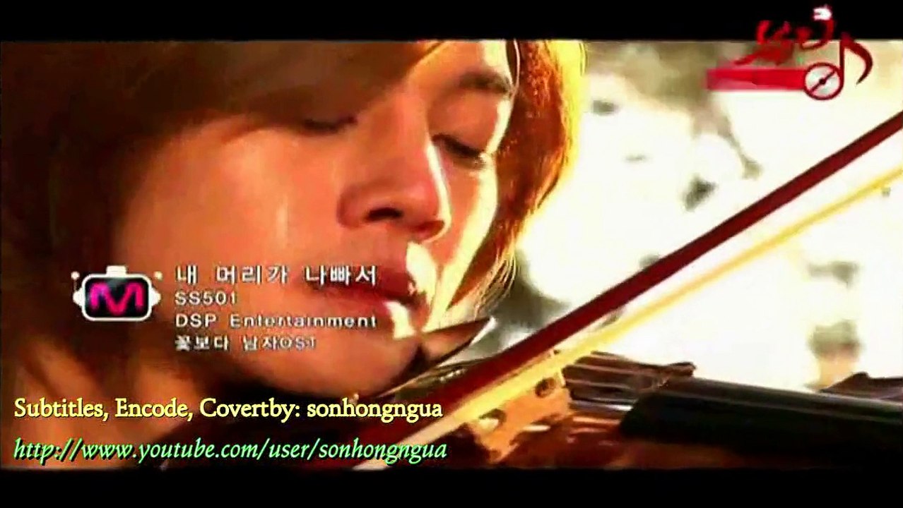 Because I'm Stupid-SS501 [Kara+Engsub+Vietsub+Chinasub+Japansub]