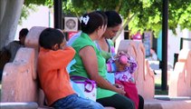 DEGOLLADO JALISCO, LABRADORES DE CANTERA