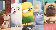 The Secret Life of Pets Leaked Photos 2016 - Lake Bell, Kevin Hart, Ellie Kemper