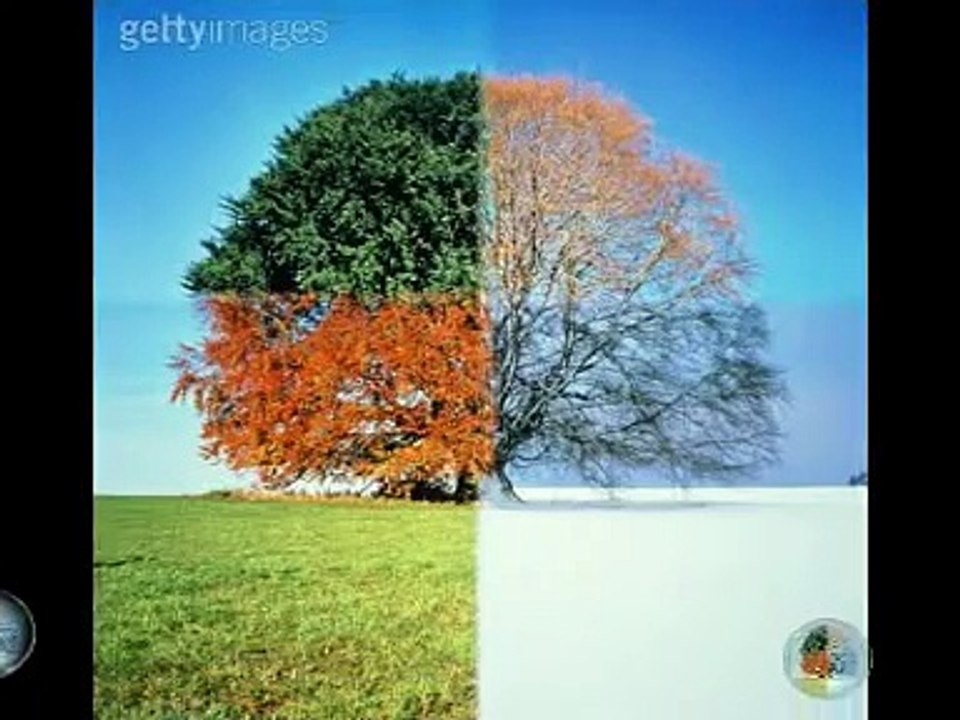 NOITE TRAIÇOEIRA (ORIGINAL)