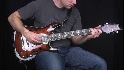 Accel "Classic Reverbs"  Reverb Guitar Effects Pedal