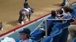 Good To Be Fancy 2010 APHA World Show Jr HUS Finalist.mp4