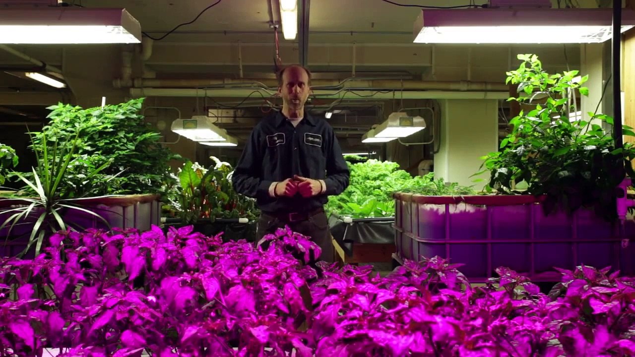 Clean Energy Challenge 2015