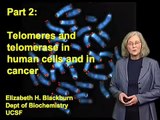 #2 Telomeres and Telomerase in Human Stem Cells and in Cancer - Elizabeth Blackburn (UCSF)