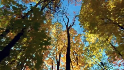 Bro Yesanna Song  Naa Geetha Aradhana