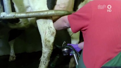 Die Sendung mit der Maus   Butter und Margarine 720p 60fps