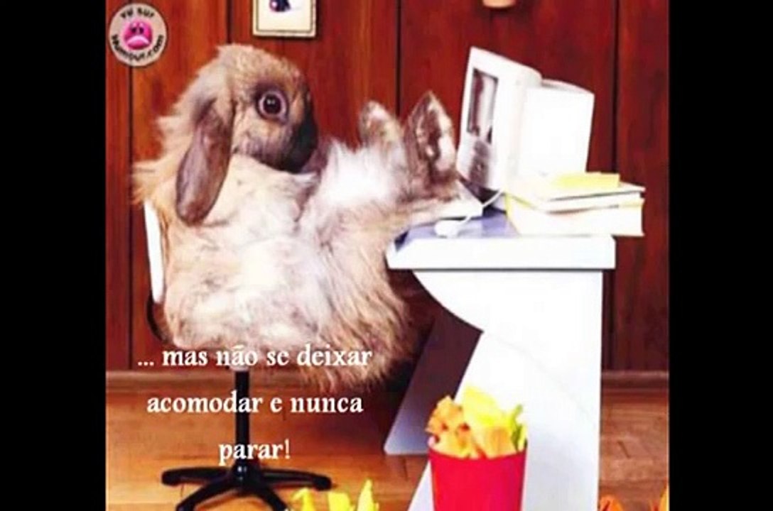 Perfil de um Administrador