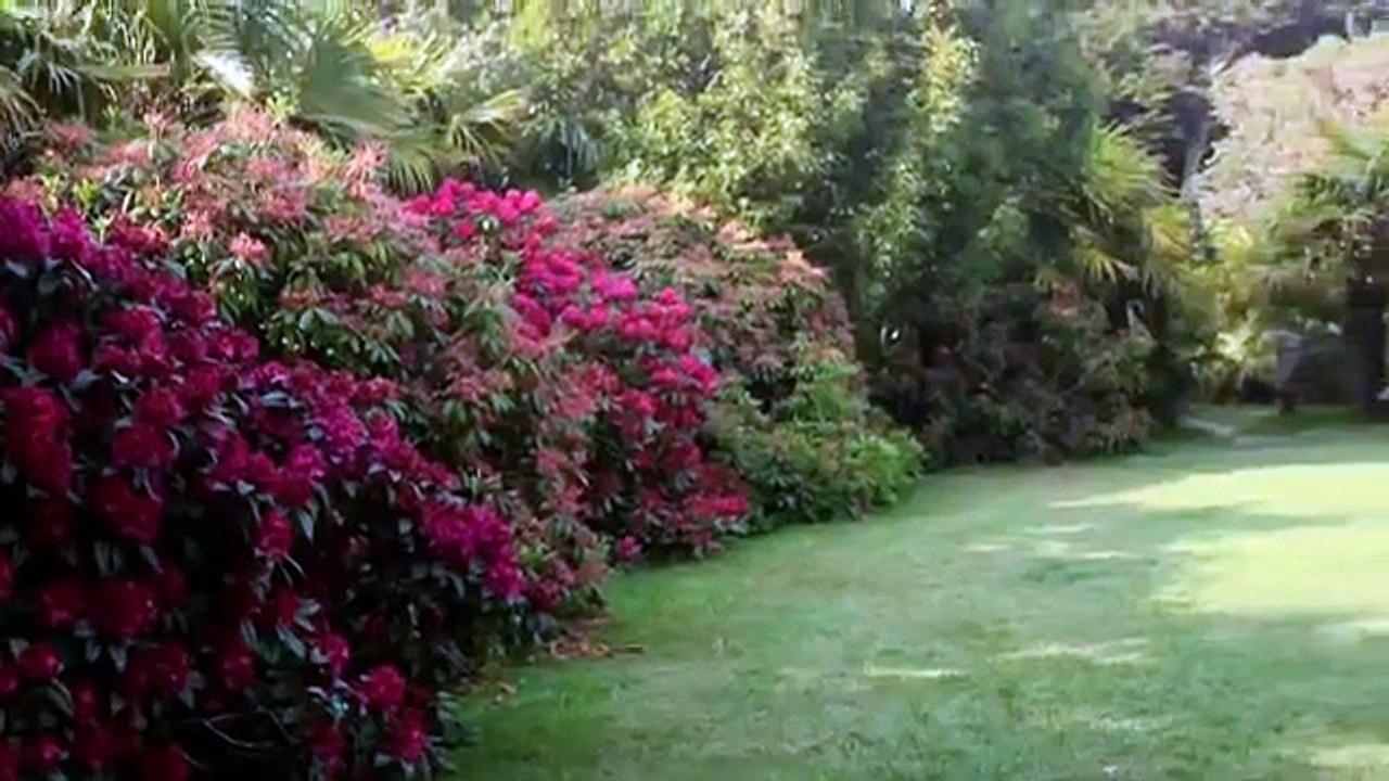 Jardin Botanique de Vauville