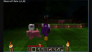 Minecraft - Taming a Horse