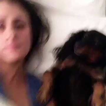 Brittany Furlan It's been a year since you've been gone and I miss you everyday : I'll love you forever my baby Meggypoos
