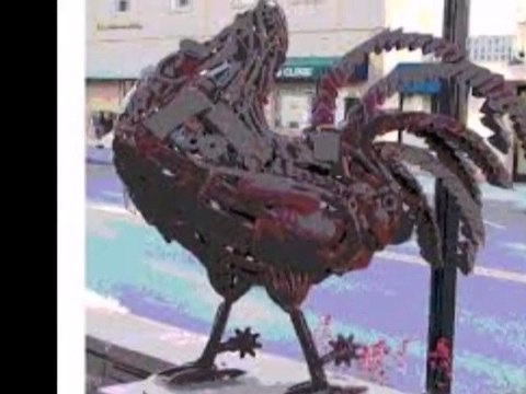 .The chicken that lived for 18 months without a head_Alemneh Wasse News-part 1