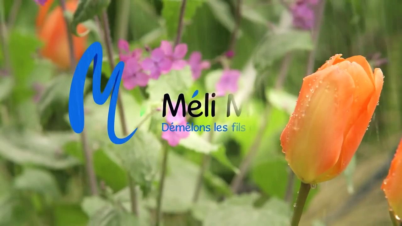 Méli Mélo - "Allais, allez !" avec Jacques Chambon et Franck Pitiot - Episode 4