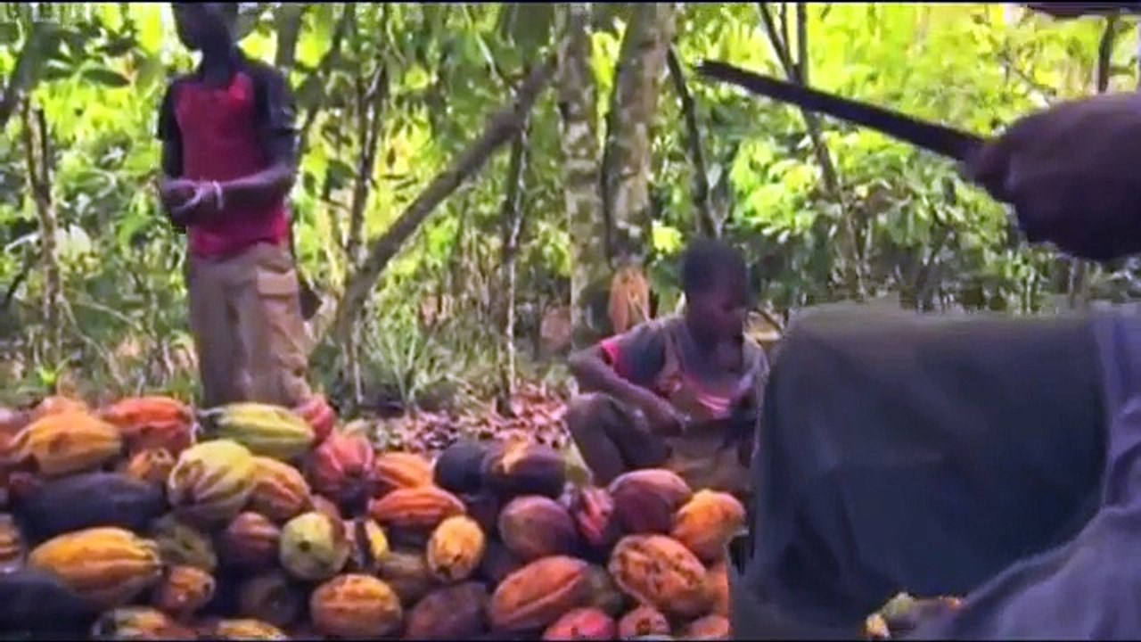 Nestle Failing on Child Labor Abuse