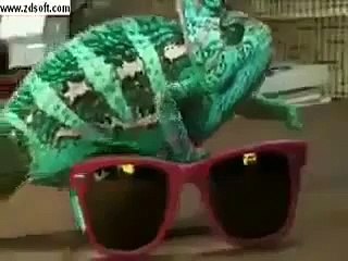 SUBHAN ALLAH - Musalmano Dekho ALLAH ki Qudrat