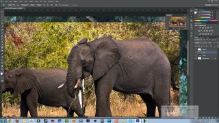 Adobe Photoshop Tutorial [Colour Matching + Creating Elephant Bubble] FPST.mp4