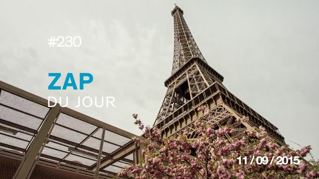 ZAP DU JOUR #230 : Première danse pour ce couple de magicien / Chats VS Zombies / The Slow Mo Guys - L'effet d'un taser