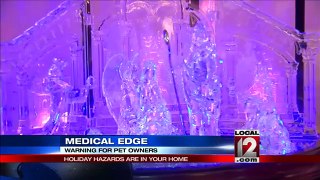 Medical Edge: Warning for pet owners during holiday
