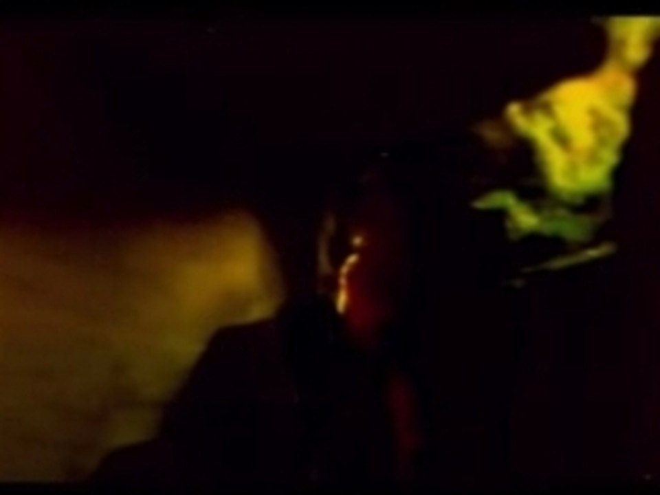 Plastic Tree - Hontou no Uso PV