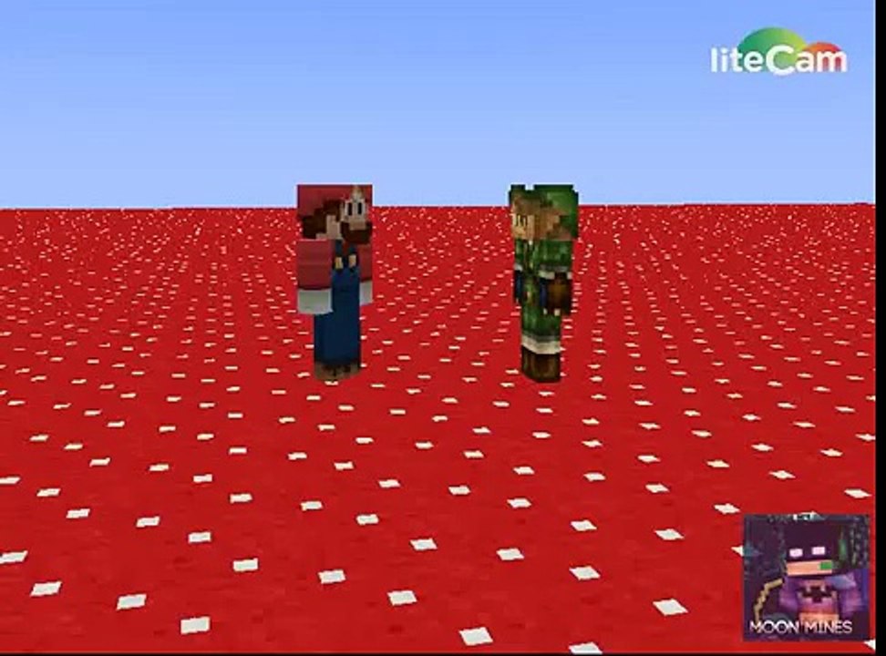 animation 3: Super Craft Bros