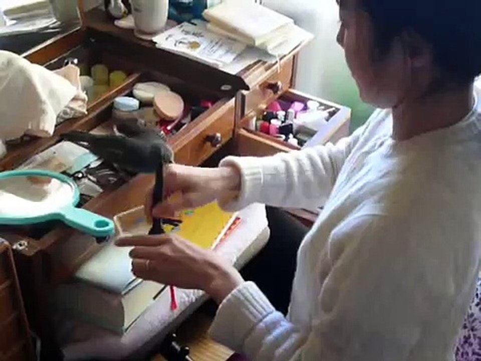 ヒヨドリ　お化粧の邪魔をする　その２