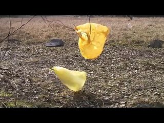 Mastering Animate Structures: Step-by-Step Guide 🏗️