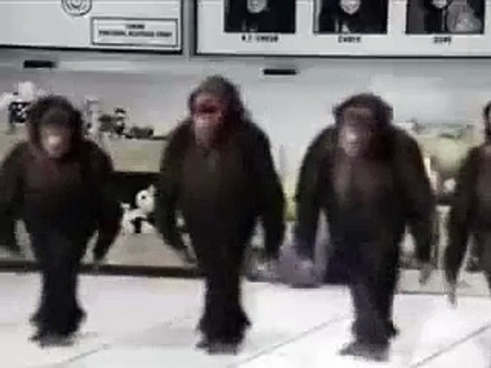 Monkey Riverdance