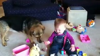 Funny Kid Laughing | funny kid | funny | Comedy | Funny dog