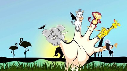 Finger Family Song   Zoo Animals   Surprise Eggs Animation Nursery Rhymes for Children Toddlers