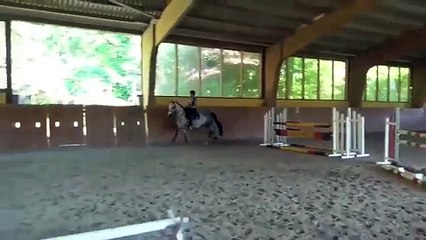 Gone Girl, Mare, Show Jumping