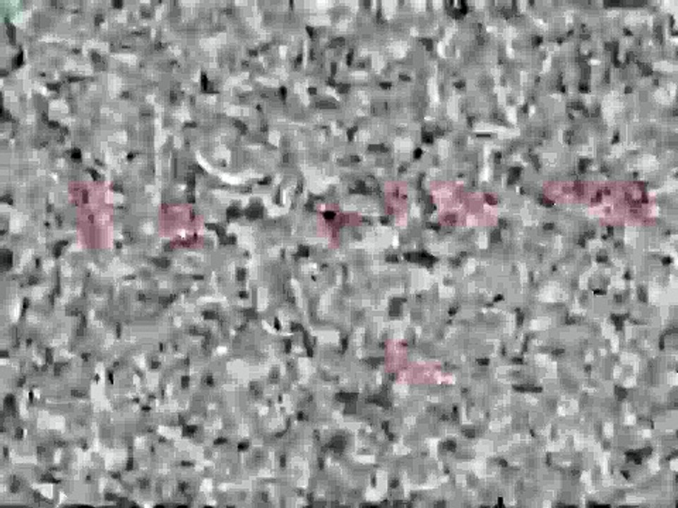 Klasky Csupo in White