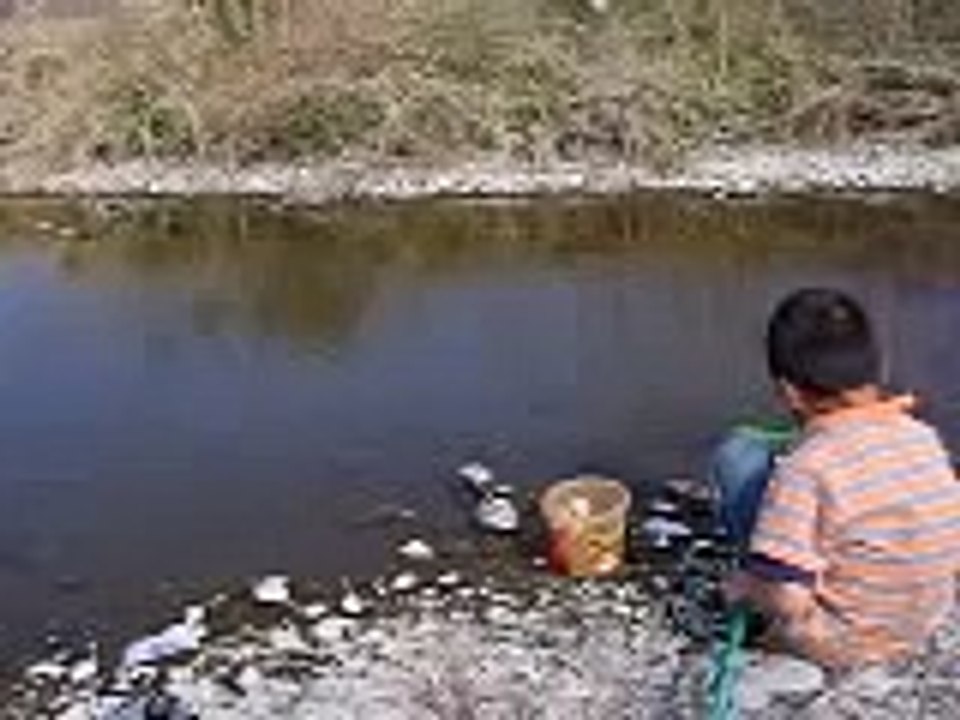 えびとり