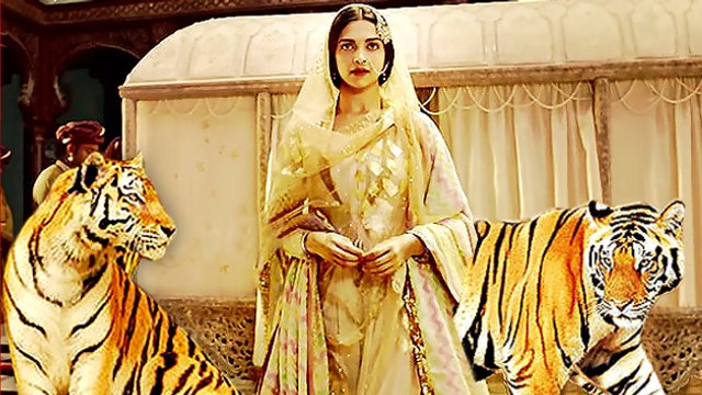 Deepika Padukone Shoots With Tigers For Bajirao Mastani | #LehrenTurns29