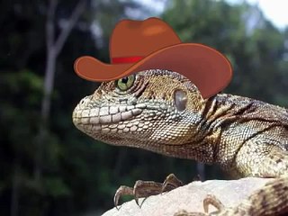 Happy Birthday, Funny Country Western Style!
