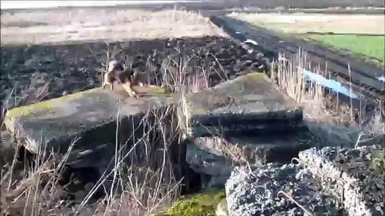 Dog Jump 2