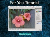 photoshop tutorials for beginners - Saving Workspaces