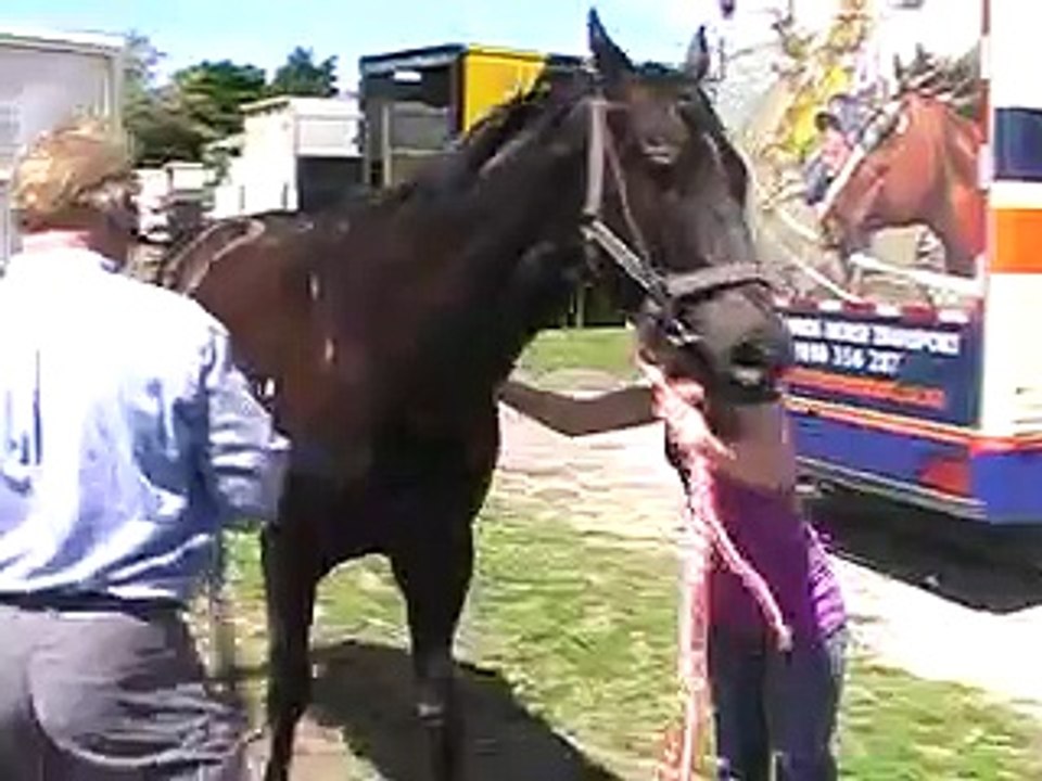 Patching Race Horse after a Race  www.marknlouisehorses.blogspot.com