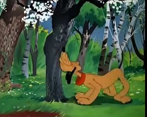 Crazy Dog  HD|baby games|kids games