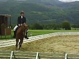 Concours de dressage du 8 mai 2007