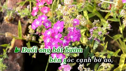 [Karaoke HD]LK .Chuyen Hoa Sim 2 Tuan Vu Bang Tam -Ngoc Huyen
