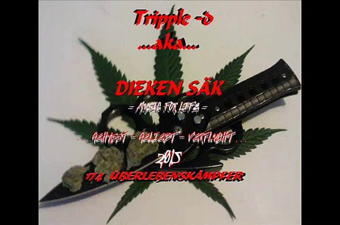 NUR EIN HURENSOHN (  V - Z - P MIXTAPE ) -  DIEKEN SÄK