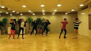 T-ara(티아라) - Shuffle Dancing with T-ARA(티아라와 함께 셔플댄스 따라하기)