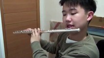Nausicaa of the Valley of the Wind ~ Japanese anime song flute cover