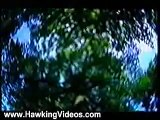Stephen Hawking Videos: The Real Stephen Hawking (Part 2/5)