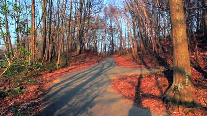 Nature Cinematography Reel (Canon Rebel T3i)