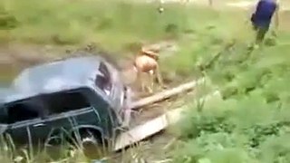 Bad Car Rescue